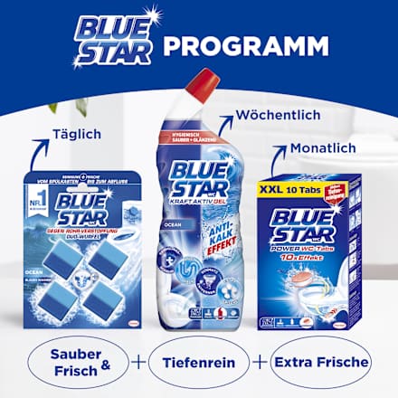 WC-Stein 2in1 Ocean BLUE STAR