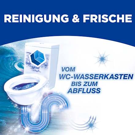 WC-Stein 2in1 Ocean BLUE STAR