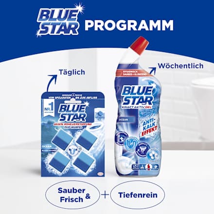 WC-Stein 2in1 Ocean BLUE STAR