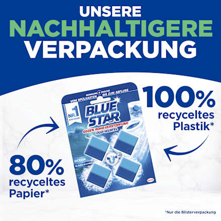 WC-Stein 2in1 Ocean BLUE STAR