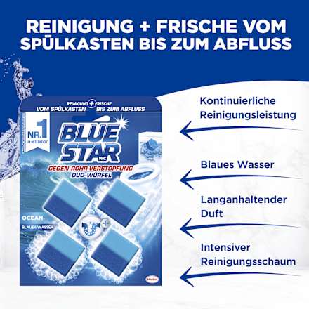 WC-Stein 2in1 Ocean BLUE STAR