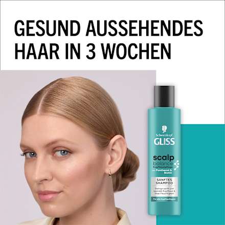 Shampoo Scalp Balance   Schwarzkopf GLISS