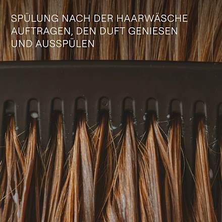 Spülung Revitalising Rosmarin  WELEDA