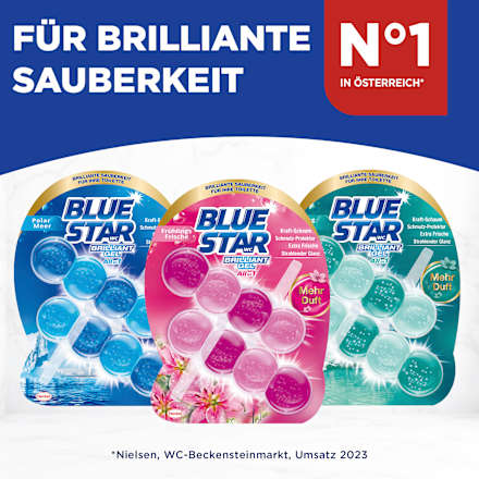WC-STeine Brilliant Gel All In 1 Frühlingsfrische BLUE STAR