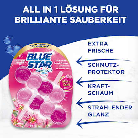 WC-STeine Brilliant Gel All In 1 Frühlingsfrische BLUE STAR