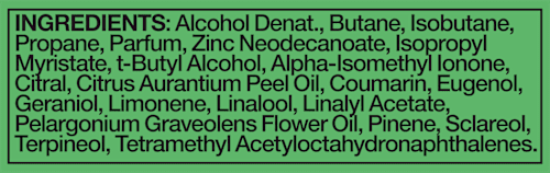 Bodyspray Jungle Fresh Palm Leaves & Amber Scent AXE