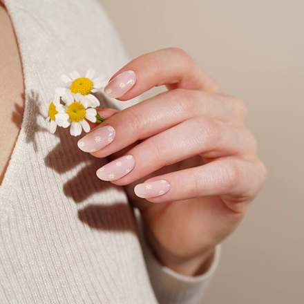 Starterset UV Gel Nagelfolien Daisies Maniko