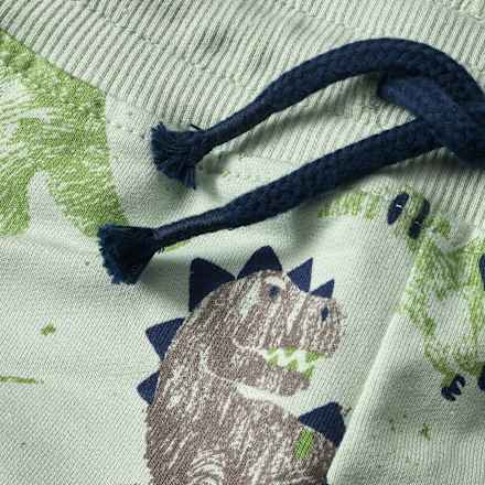 Jogginghose mit Dino-Muster, grün, Gr. 104 ALANA