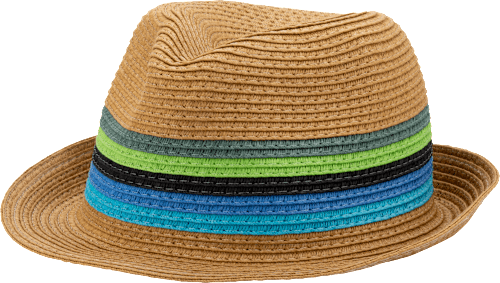 Cowboy Hut gestreift PURSET