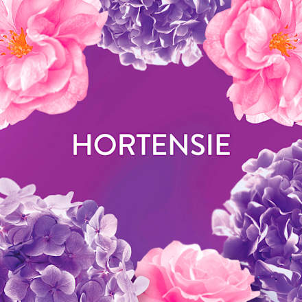 Wäscheparfum Blütentraum Lenor