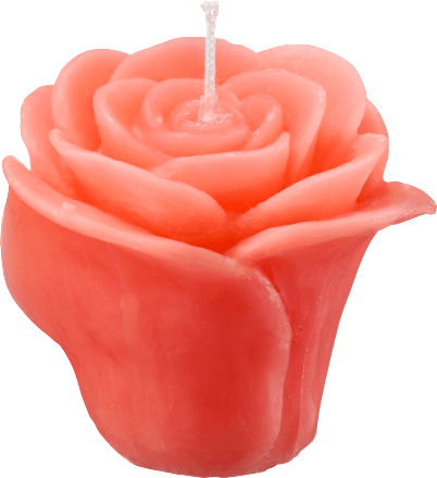 Figurenkerze Rose groß sortiert Profissimo