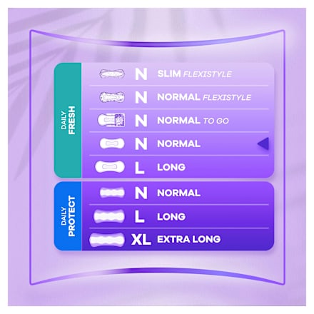 Slipeinlagen Daily Fresh Normal Big Pack always