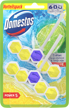 WC-Stein Limette  Domestos