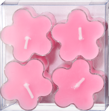 Lučice – cvijet, više vrsta Profissimo