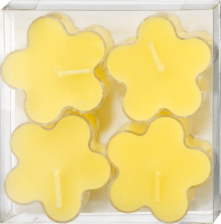 Lučice – cvijet, više vrsta Profissimo