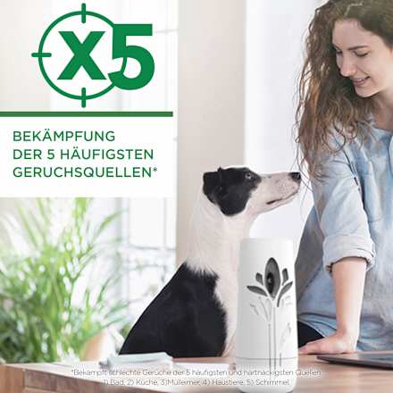 Duftspray Freshmatic Max Starter-Set Sommervergnügen AIR WICK
