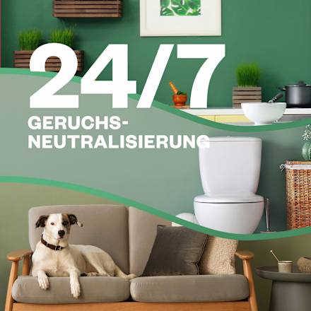 Duftspray 24/7 Active Fresh Nachfüller Kirschblüte & Himbeere AIR WICK