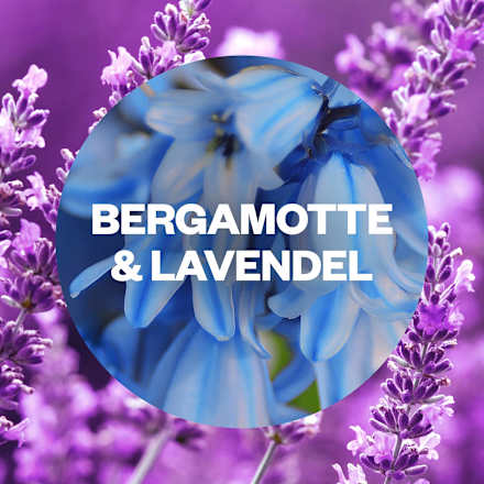 Duftöl Nachfüller Bergamotte & Lavendel AIR WICK