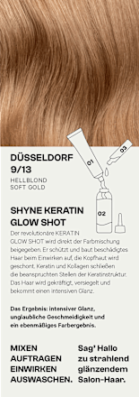 Haarfarbe 9/13 Düsseldorf Hellblond Soft Gold SHYNE Professional