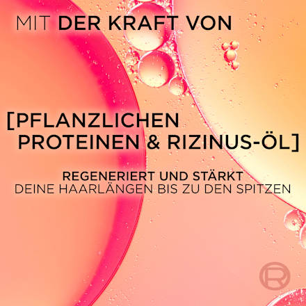 Shampoo Dream Length L'ORÉAL PARiS ELVITAL