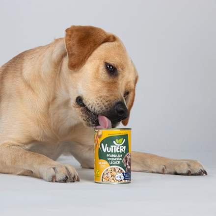 Nassfutter Hund, Vegan wie Huhn VUTTER!