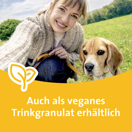 Grippostad C Hartkapseln Grippostad