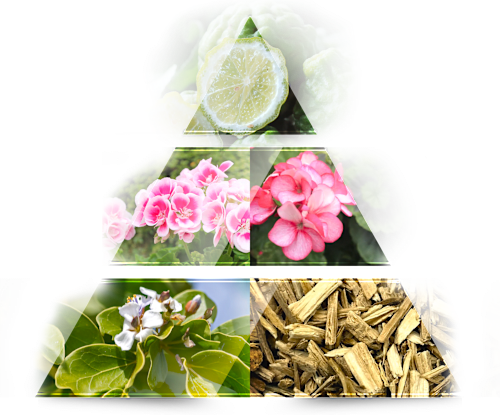 Aftermath edt LA RIVE