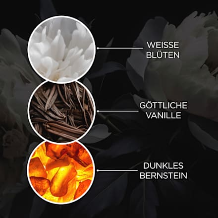 Flüssigseife Twilight Amber Baylis & Harding