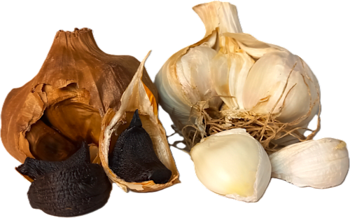 Knoblauch Bio Schwoaza Knofl GOLDENITS