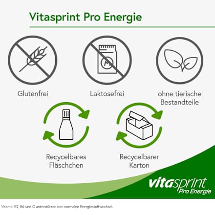 Vitasprint Pro Energie vitasprint