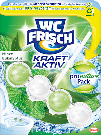 WC-Stein Kraft Aktiv Minze & Eukalyptus WC-Frisch