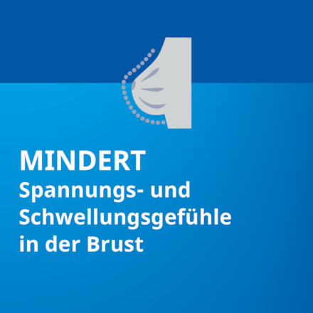 Agnus castus STADA  4 mg Trockenextrakt aus Keuschlammfrüchten Filmtabletten STADA