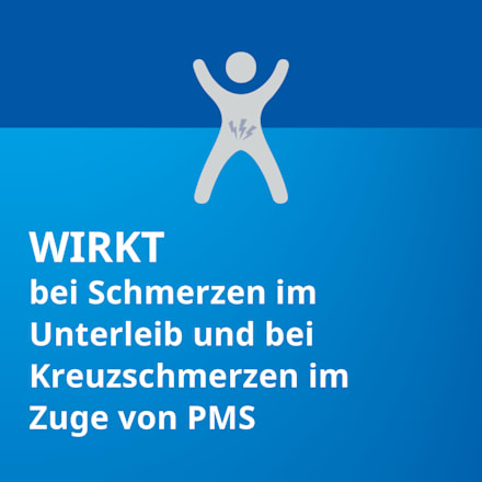 Agnus castus STADA  4 mg Trockenextrakt aus Keuschlammfrüchten Filmtabletten STADA