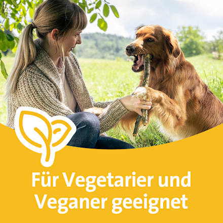 Grippostad C Stickpack Trinkgranulat Beutel Grippostad