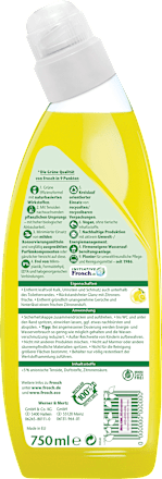 WC-Reiniger Zitrone Frosch