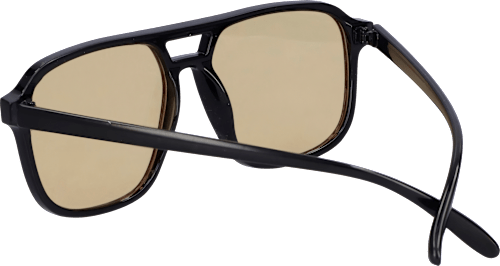 Sonnenbrille Erwachsene schwarzes Gestell, beigefarbene Gläser SUNDANCE