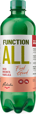 Funkcionalna pijača FunctionALL Feel Good, gazirana Radenska