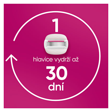 ComfortGlide náhradní holicí hlavice Sugarberry Scent + pouzdro Gillette Venus