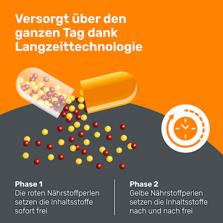 EUNOVA Multivitamin Langzeit 50+, Kapseln 120 St EUNOVA