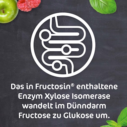FRUCTOSiN Kapseln FRUCTOSiN