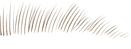 INSTANT BROW HAIR PEN olovka za obrve- Dark Brown REVOLUTION