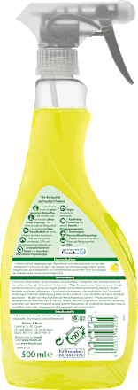 Badreiniger Citrus Frosch