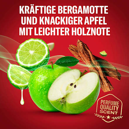 Deostick Rockstar, Scent of Vibrant Bergamot Old Spice