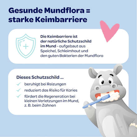 Zahnpasta Baby Mundflora+ mit Fingerzahnbürste, 0-2 Jahre Dentinox