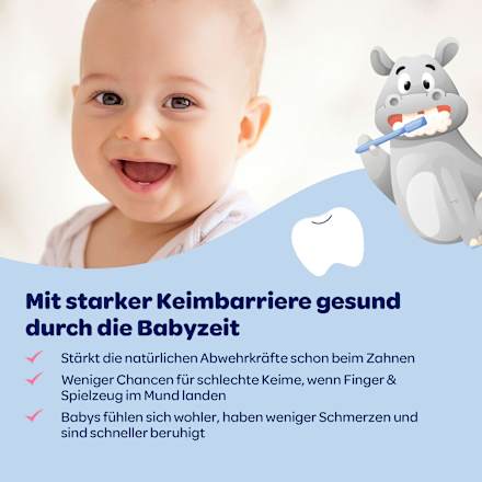Zahnpasta Baby Mundflora+ mit Fingerzahnbürste, 0-2 Jahre Dentinox