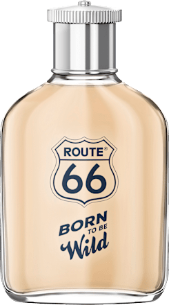 Born to be wild EDT męski Route 66