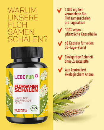 Bio Flohsamenschalen Kapseln 60 St Lebepur
