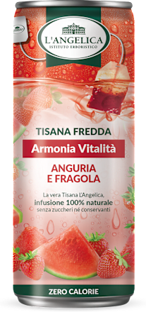 Tisana fredda drena detox L'ANGELICA