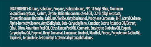 Antitranspirant Deospray Nonstop Protection Thermo Fresh Rexona men