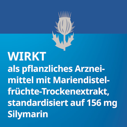 Silymarin STADA 156 mg Hartkapseln STADA